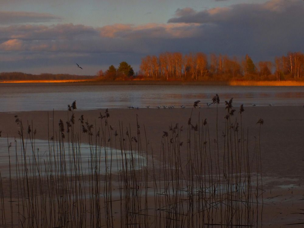 Photograph by Дмитрий Крылов