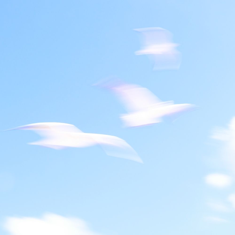 The joy of free flight...Радость свободного полёта