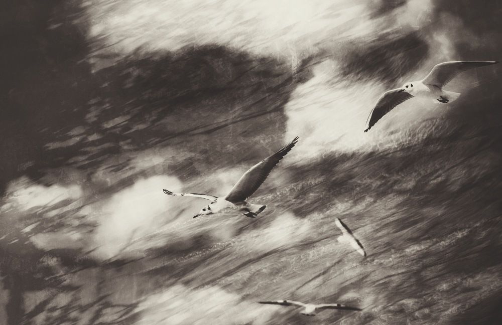 Photograph by Ирина Irina Warm Vision