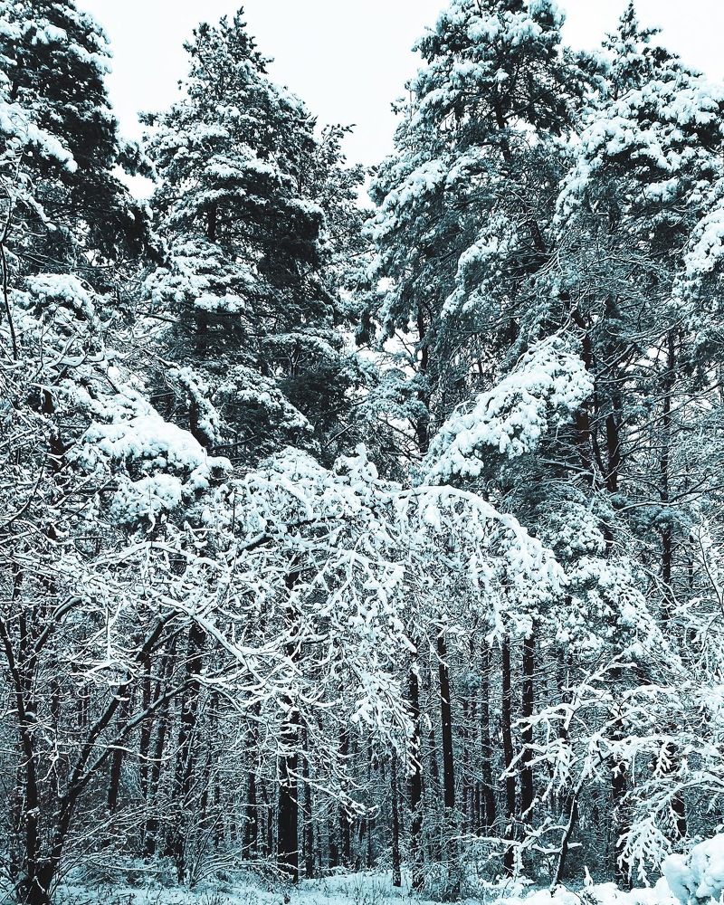 Photograph by iryna kryvko