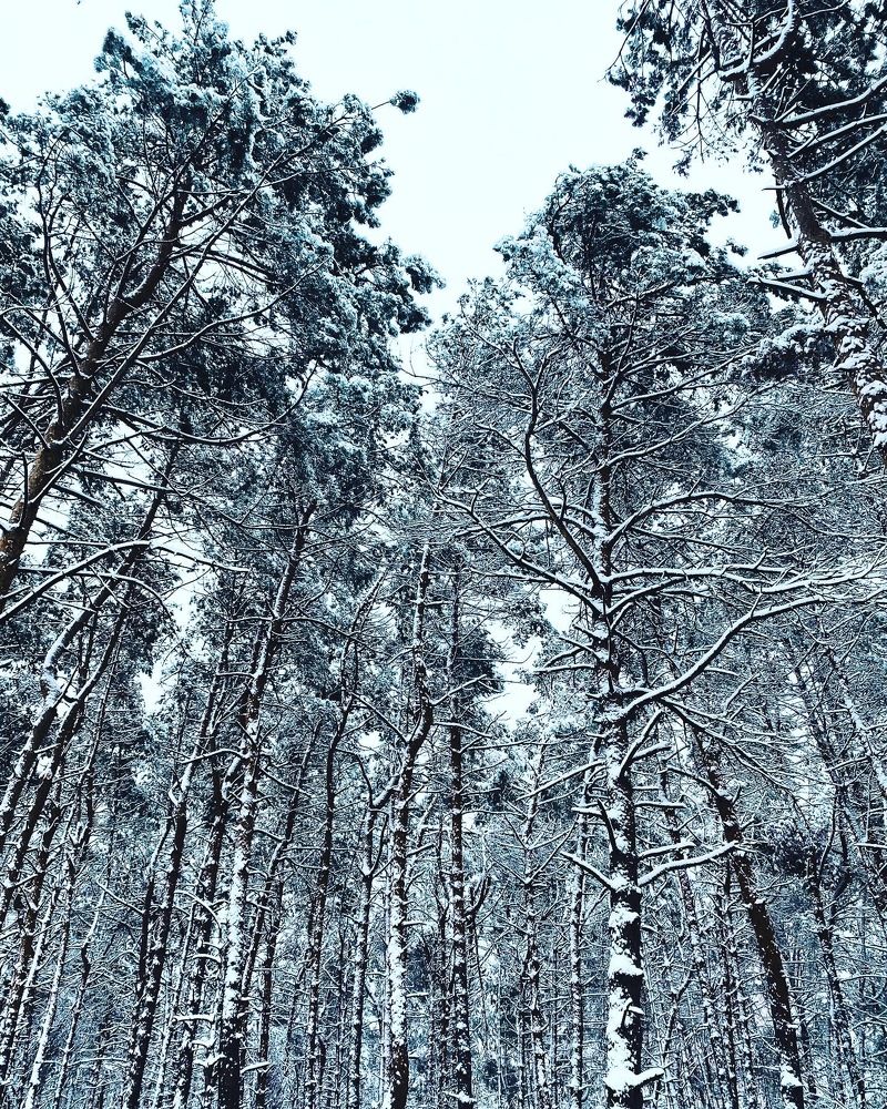 Photograph by iryna kryvko
