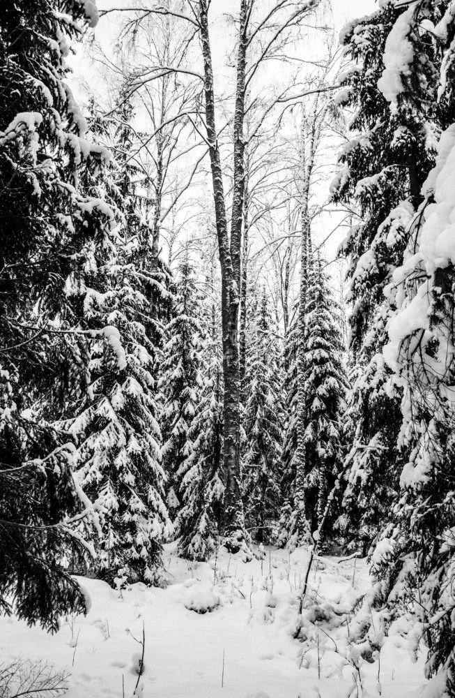 Photograph by Вадим Кондрат