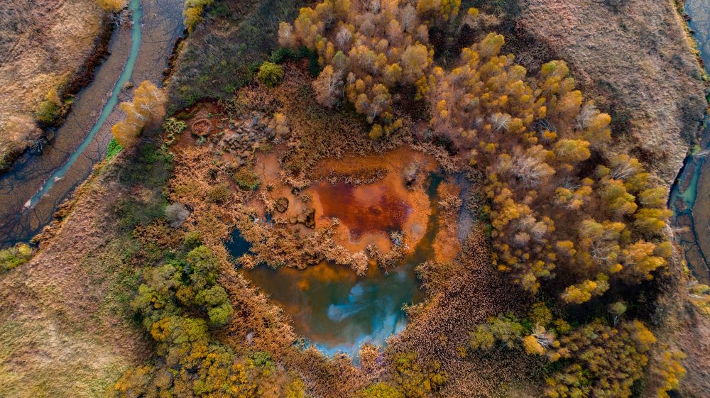 Photograph by Павел Трефилов