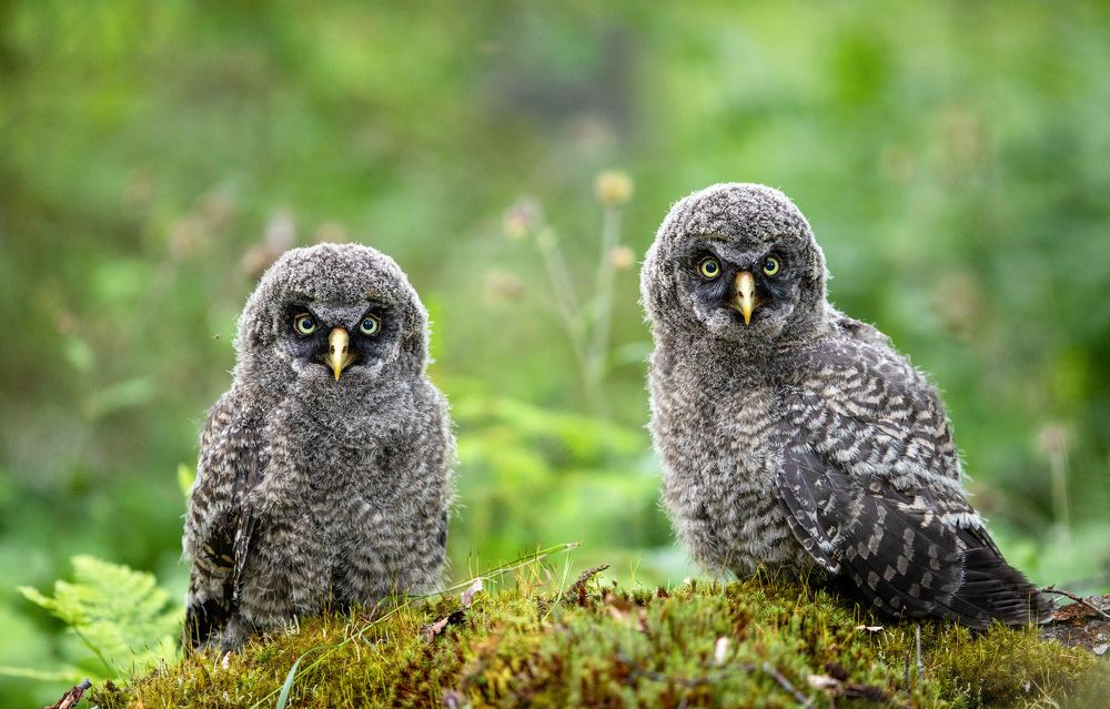 Photograph by Peeter Karask