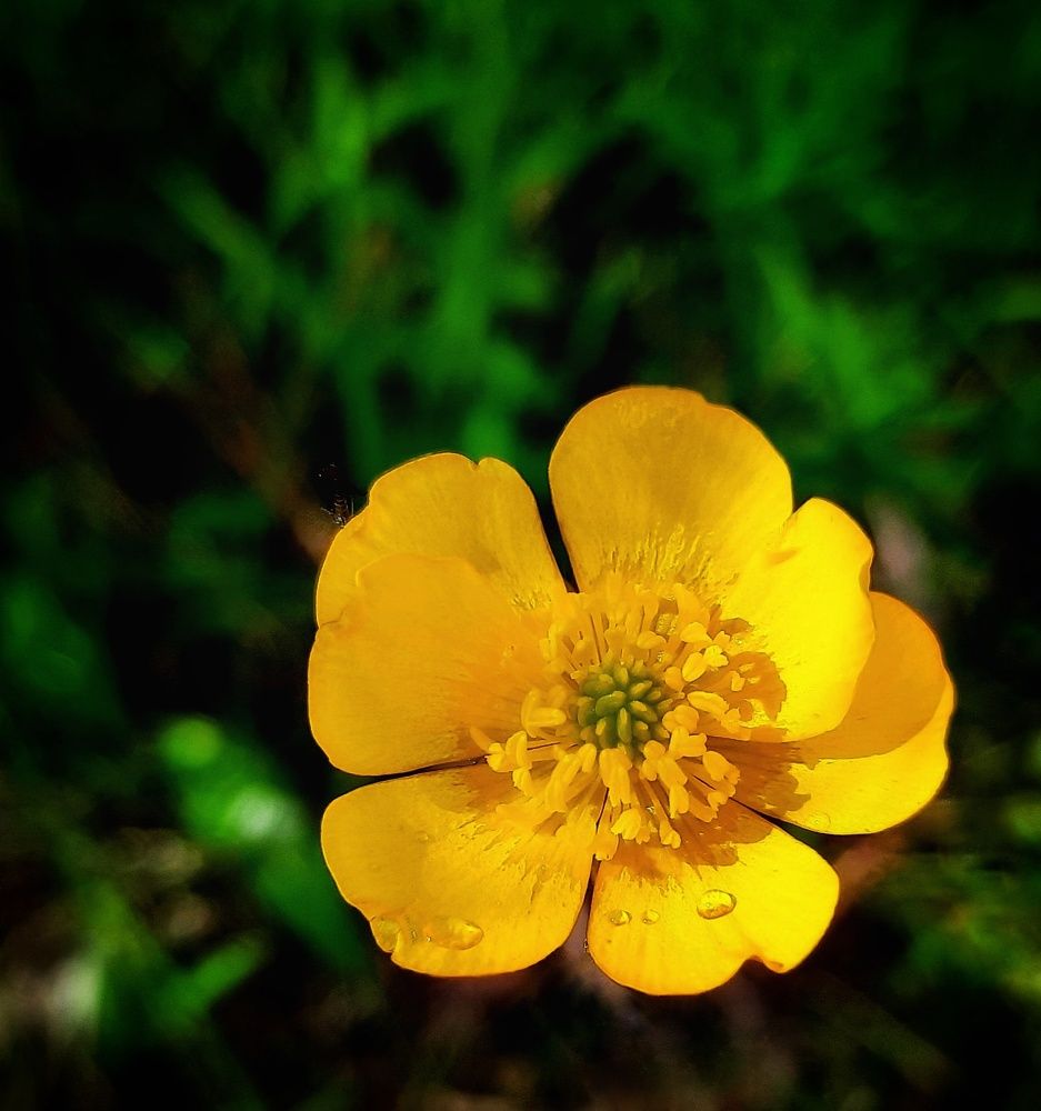 Photograph by Ольга Шаньгина