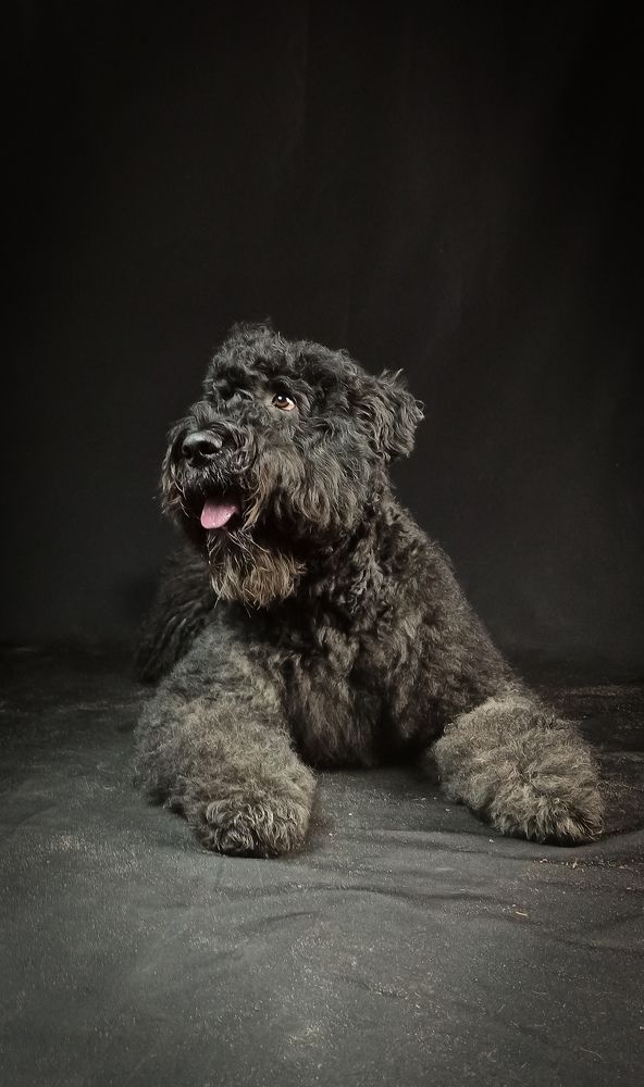 Фотография автора Алёна Подгорная