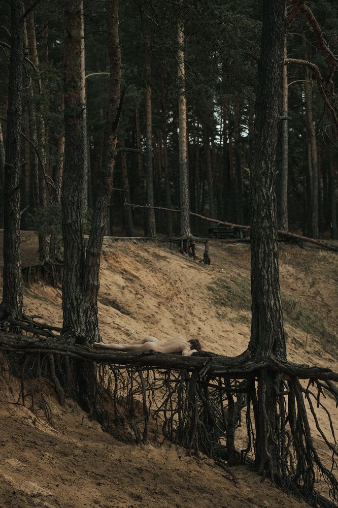 Фотография автора Андрей Вепрынцев