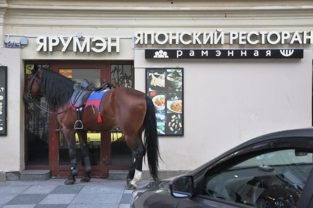 Photograph by Харис