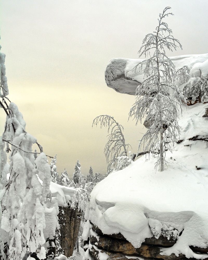 Photograph by Алексей Куренков