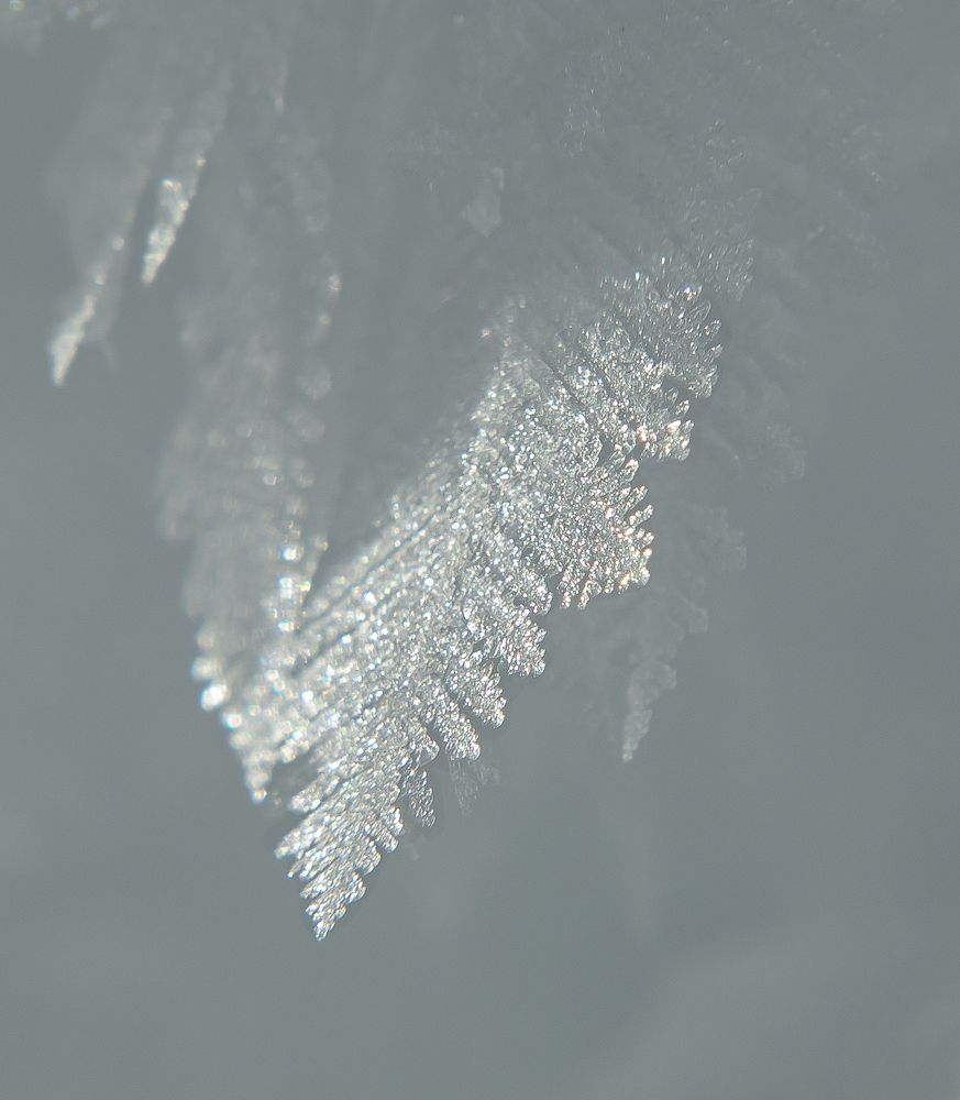 Photograph by Марина Новожилова