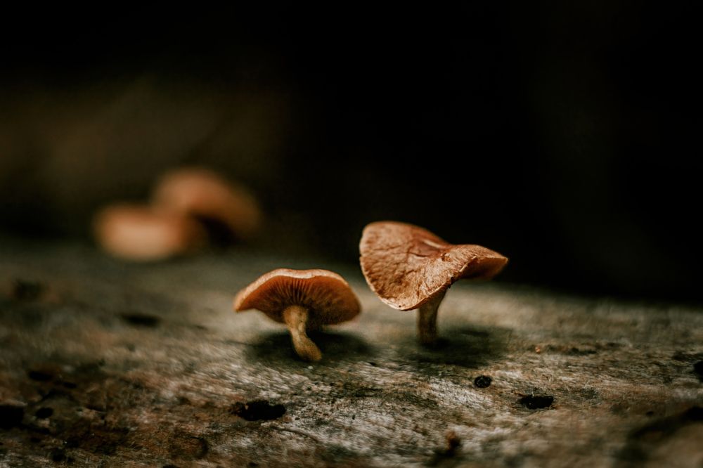 Photograph by Александр Соловьев