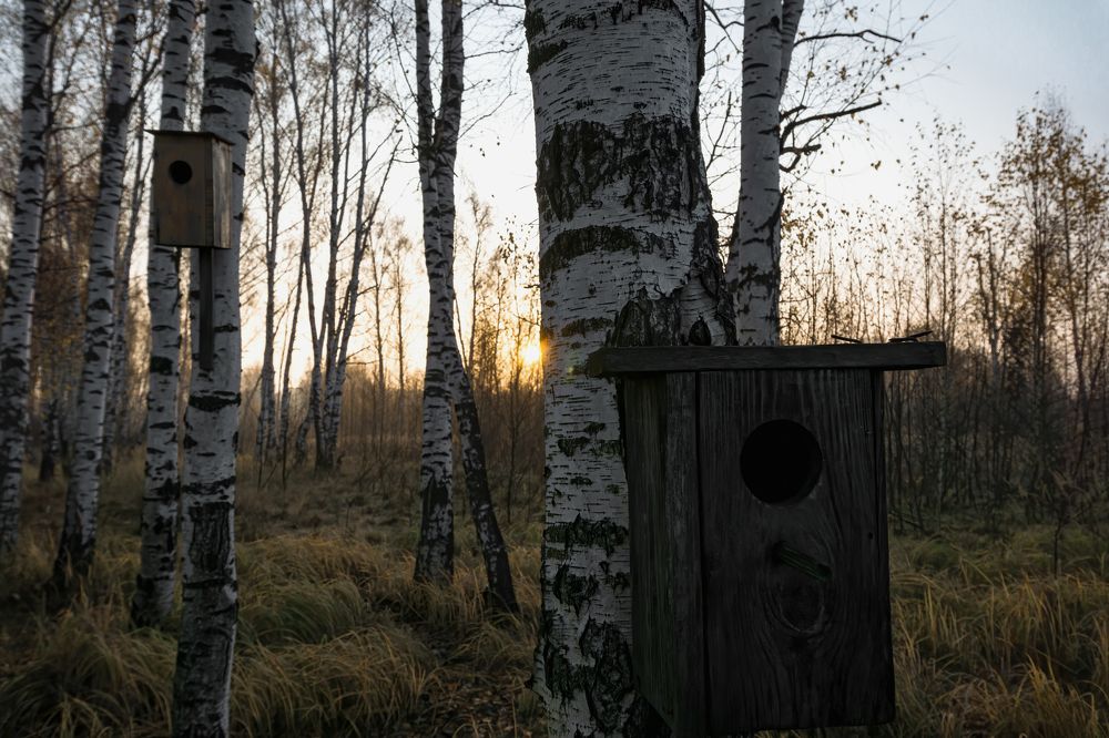 Фотография автора Сергей Суриков