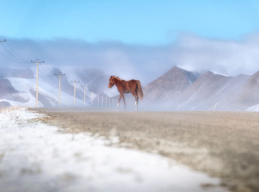 Photograph by Mohammad ATAEI