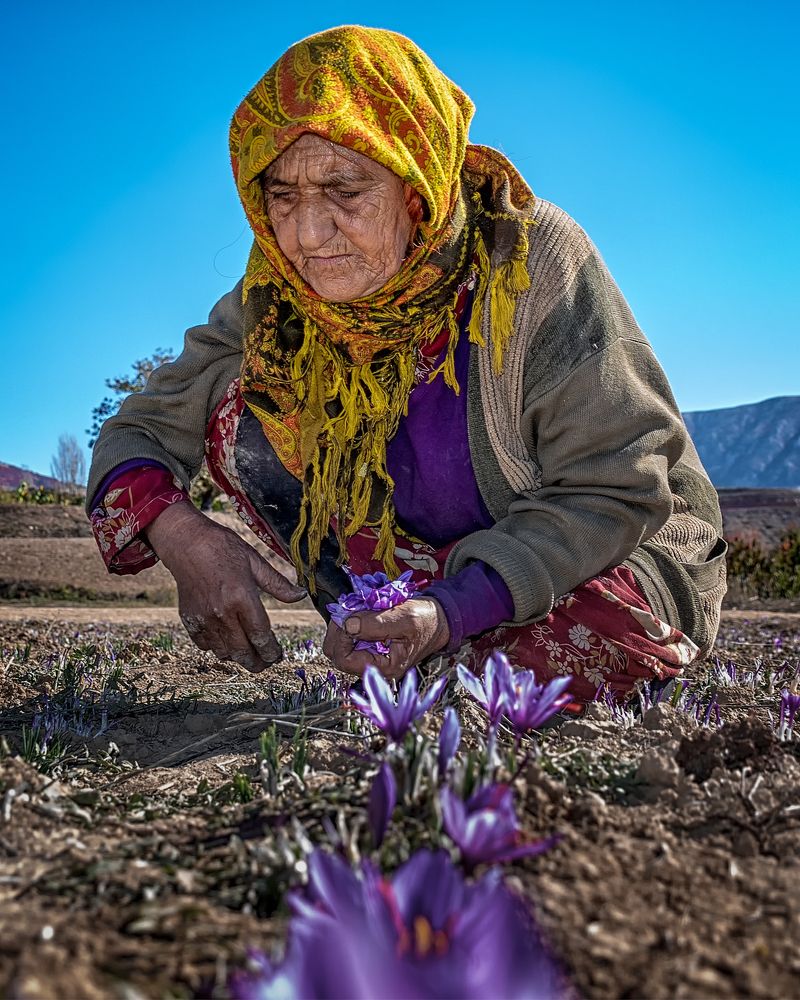 Photograph by Mohammad ATAEI