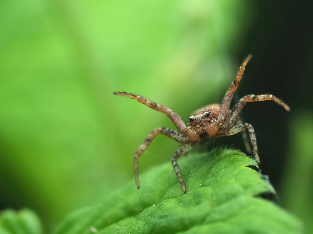 Photograph by Глебов Максим