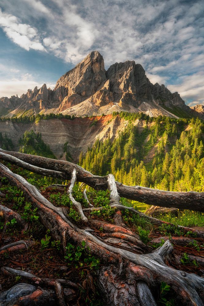 Photograph by Jakub Perlikowski