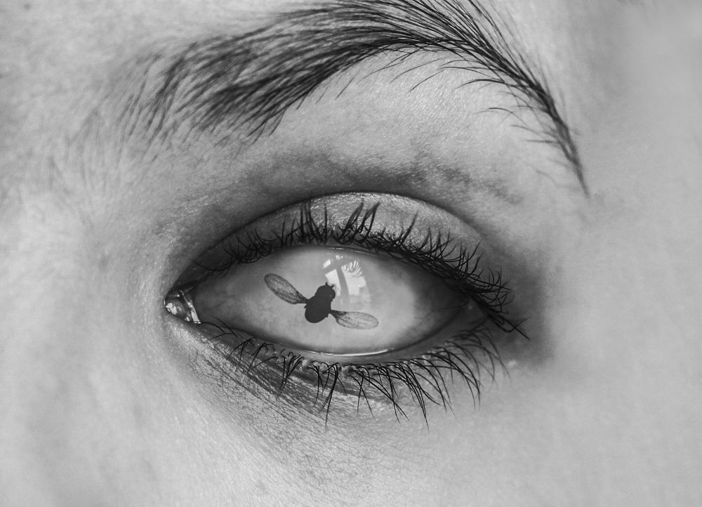 Photograph by Gabriela Ottova