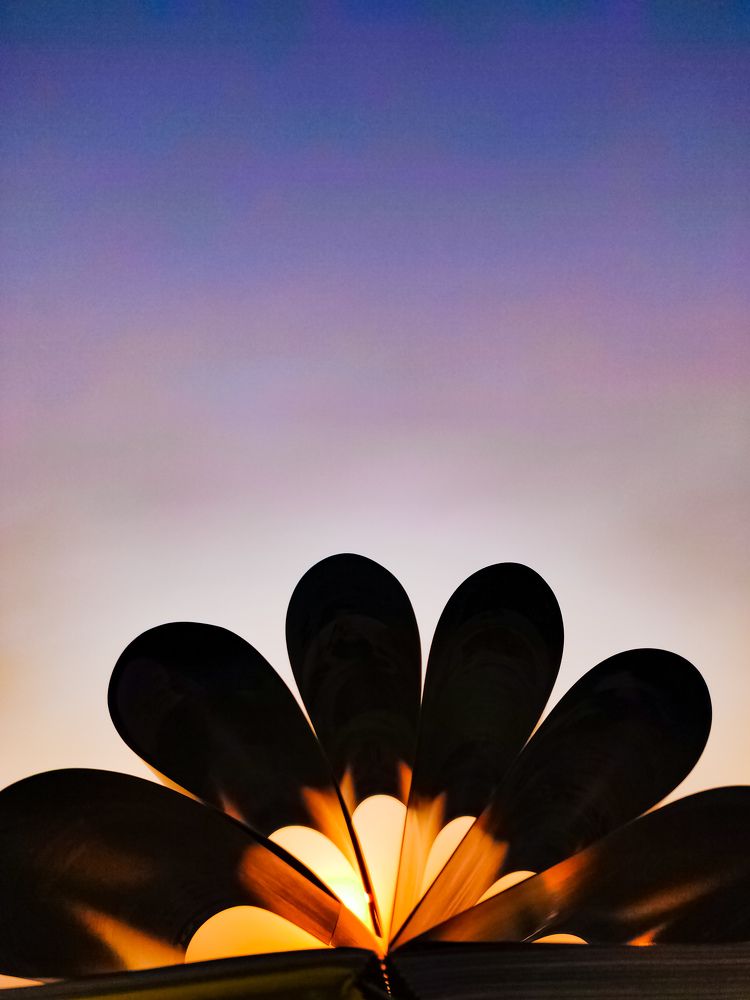 The Brighter the Sun, The Darker are the Shadows.