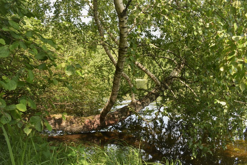 Photograph by Сергей Иванович Носов