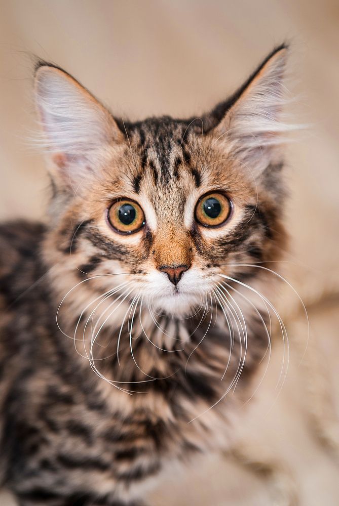 Photograph by Людмила Кузьменко