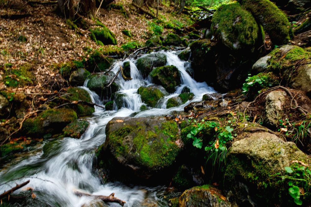 Photograph by Виктория Шакула