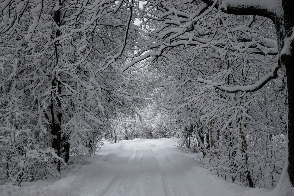 Photograph by Марина Колпакова