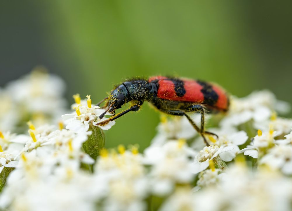 Photograph by Alexandra Matei