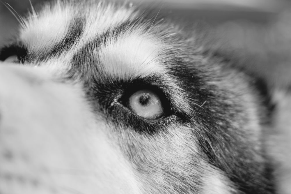 Photograph by Богдан Тарасов