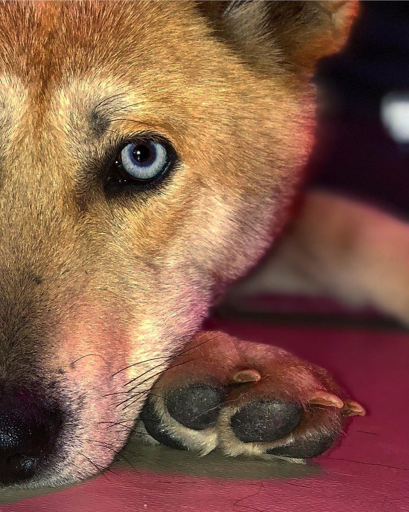 Photograph by Николаева Светлана