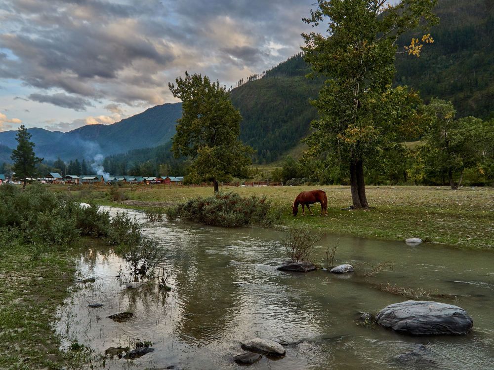 Photograph by Александр Авдушев