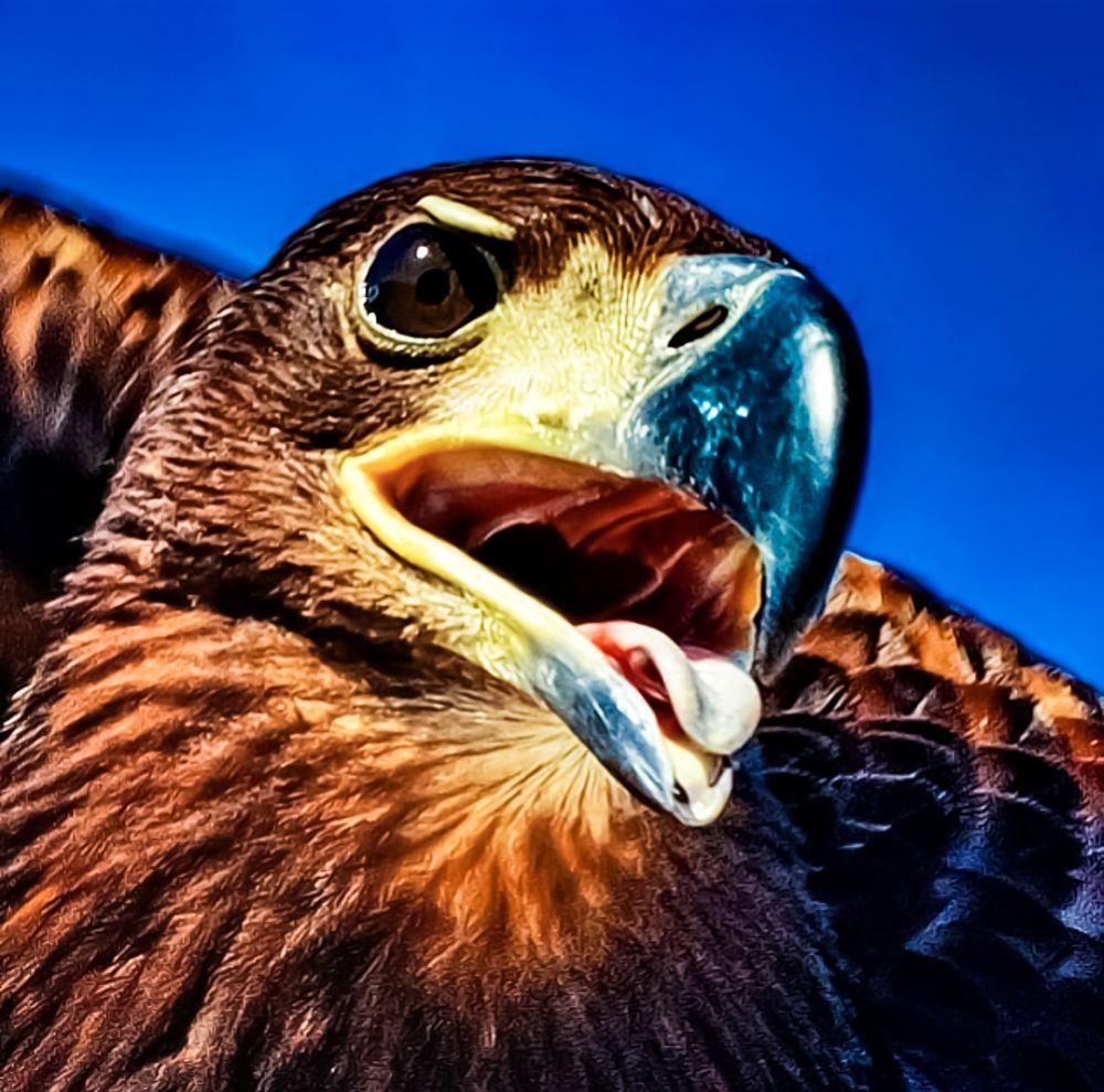 Photograph by Николаева Светлана