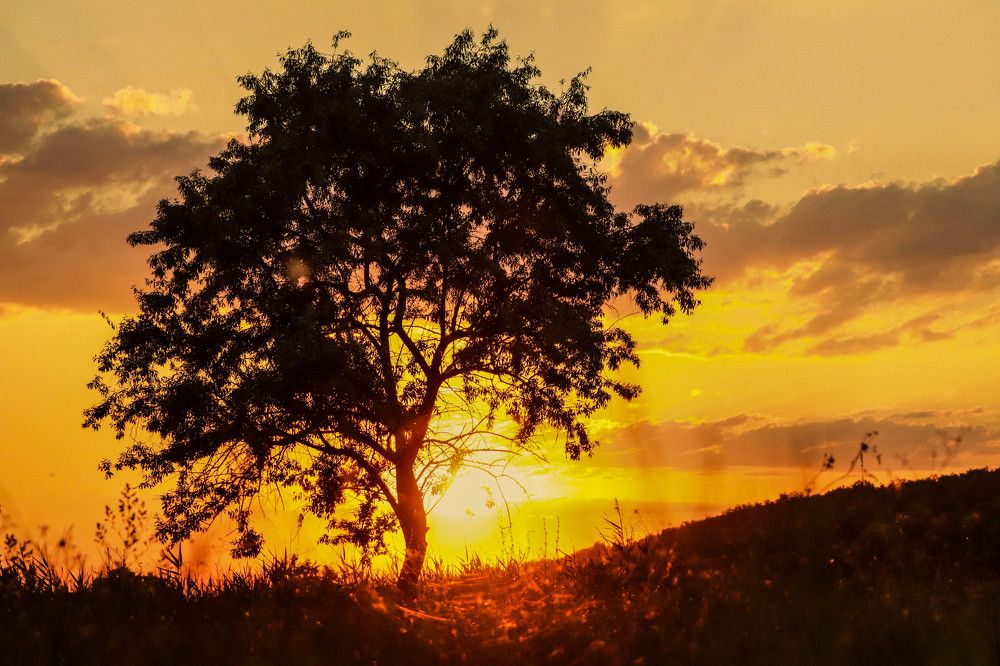Photograph by Дмитро Філоненко