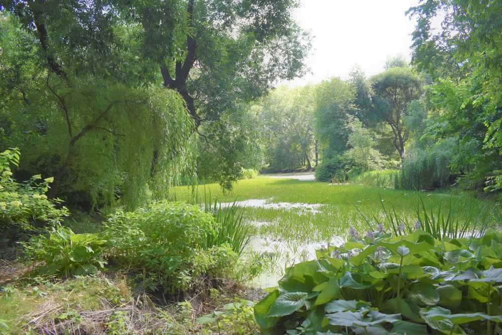 Photograph by Сергей Иванович Носов