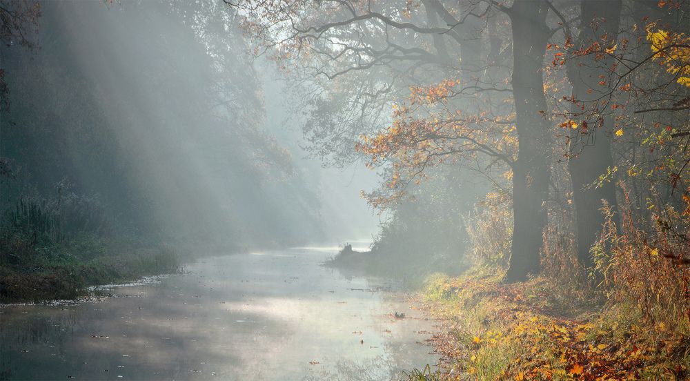 Photograph by Владимир Петрукович