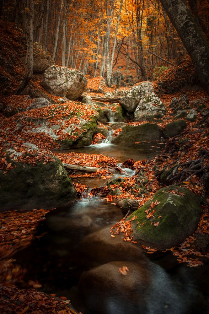 Photograph by Денис Бардась