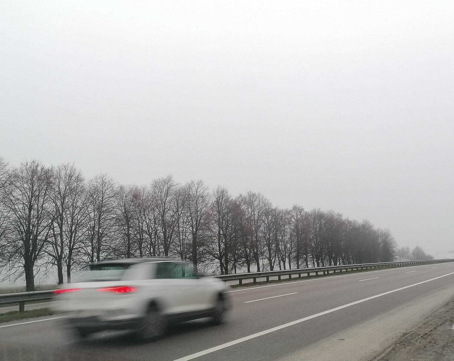 Photo #5598244