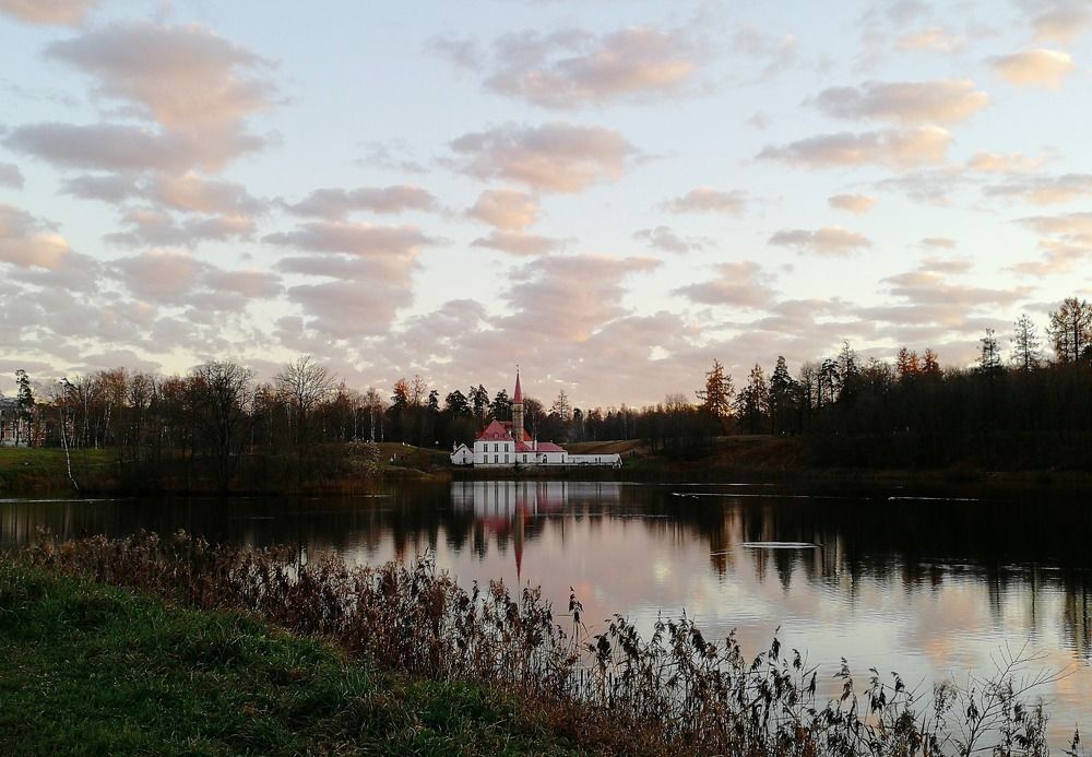 Photograph by Елена