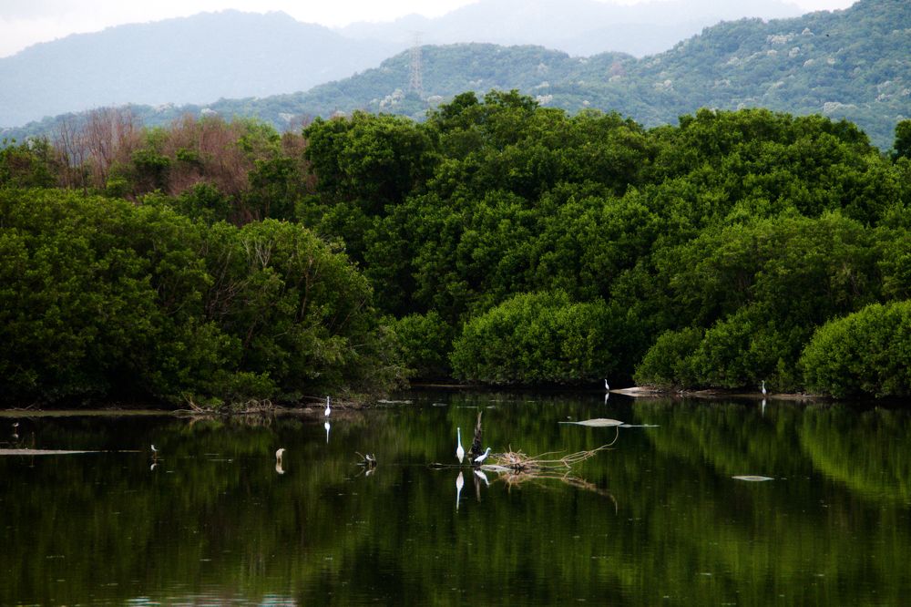 Photograph by Juan Carlos Pascual López