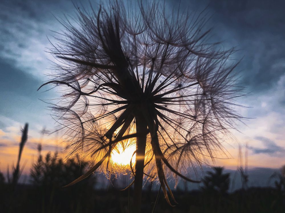 Photograph by Алиса Кустовская