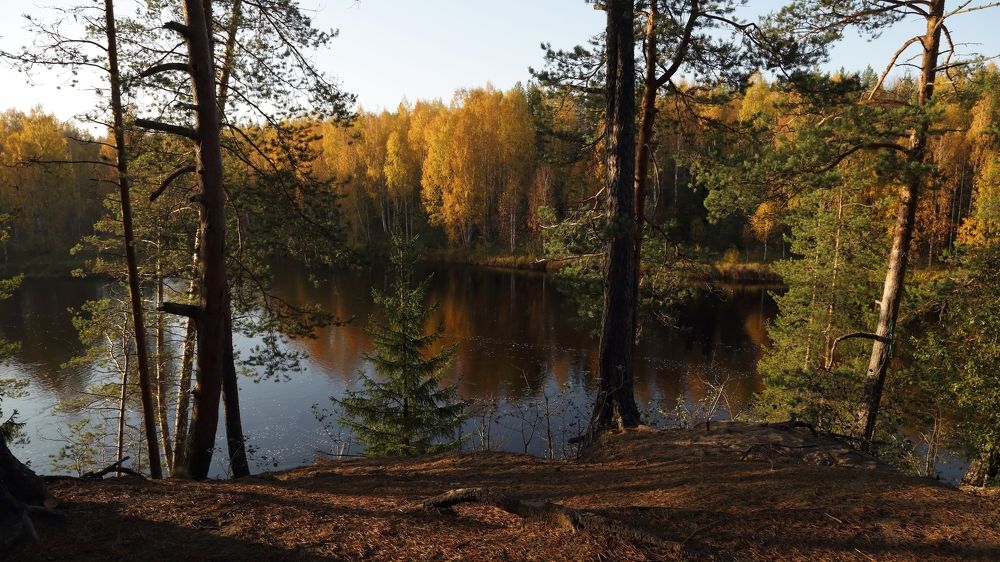 Осенняя Шуя.