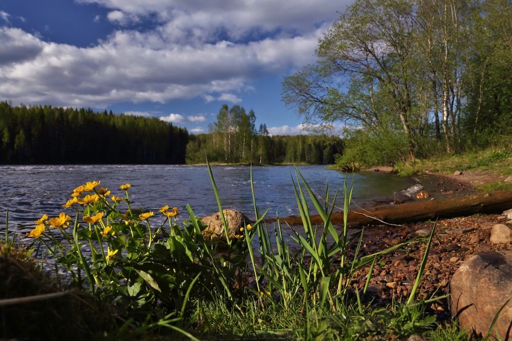 Карельская весна.