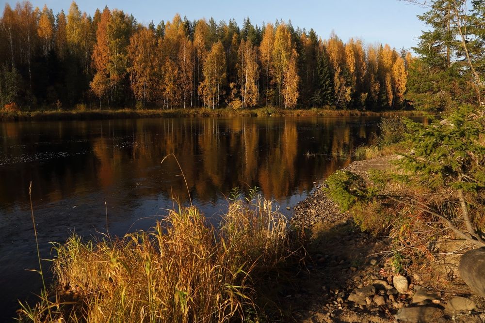 Осеняя тишина.