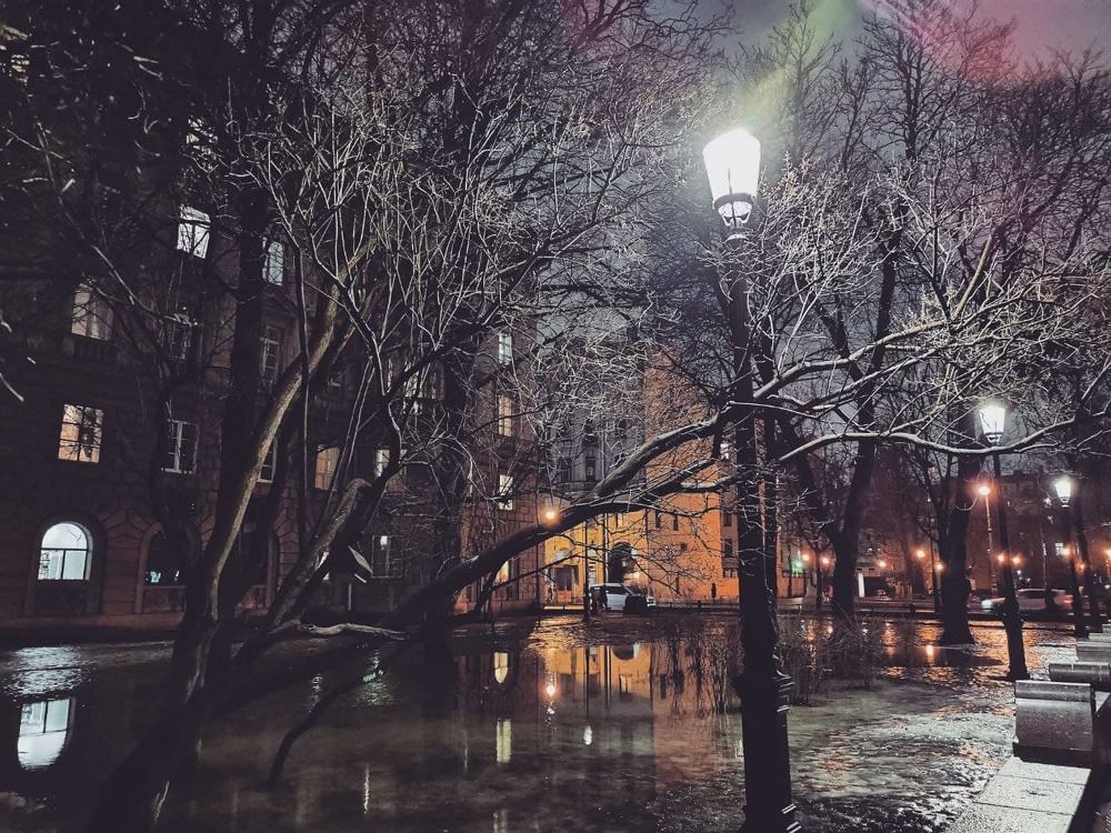 Photograph by Kristina Frizyuk