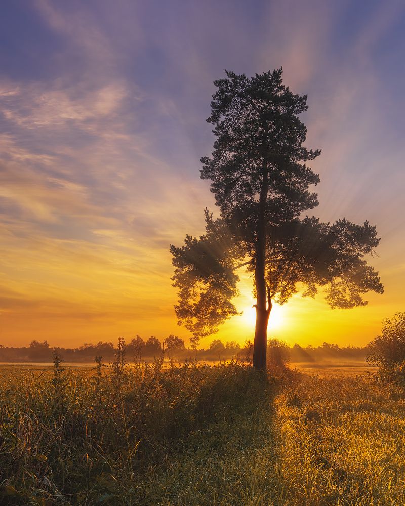 Photograph by Максим Бойко