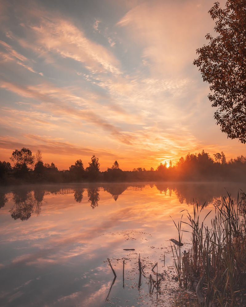 Photograph by Максим Бойко
