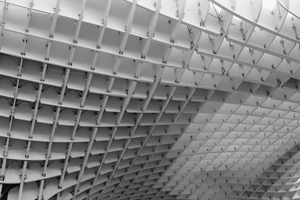 Photograph by CARMEN RAMON CAMI