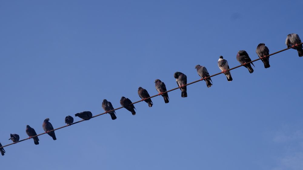 Photograph by Bassem Ahmed Khallaf