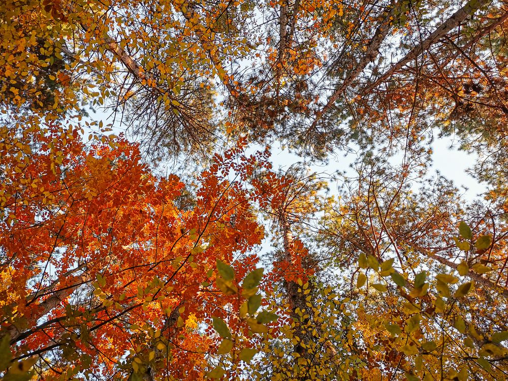 Photograph by Вадим Тихонов