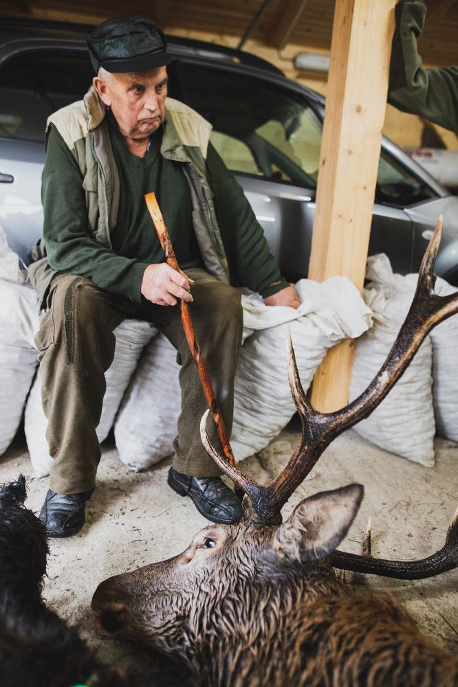 Фотография автора Josef Nový