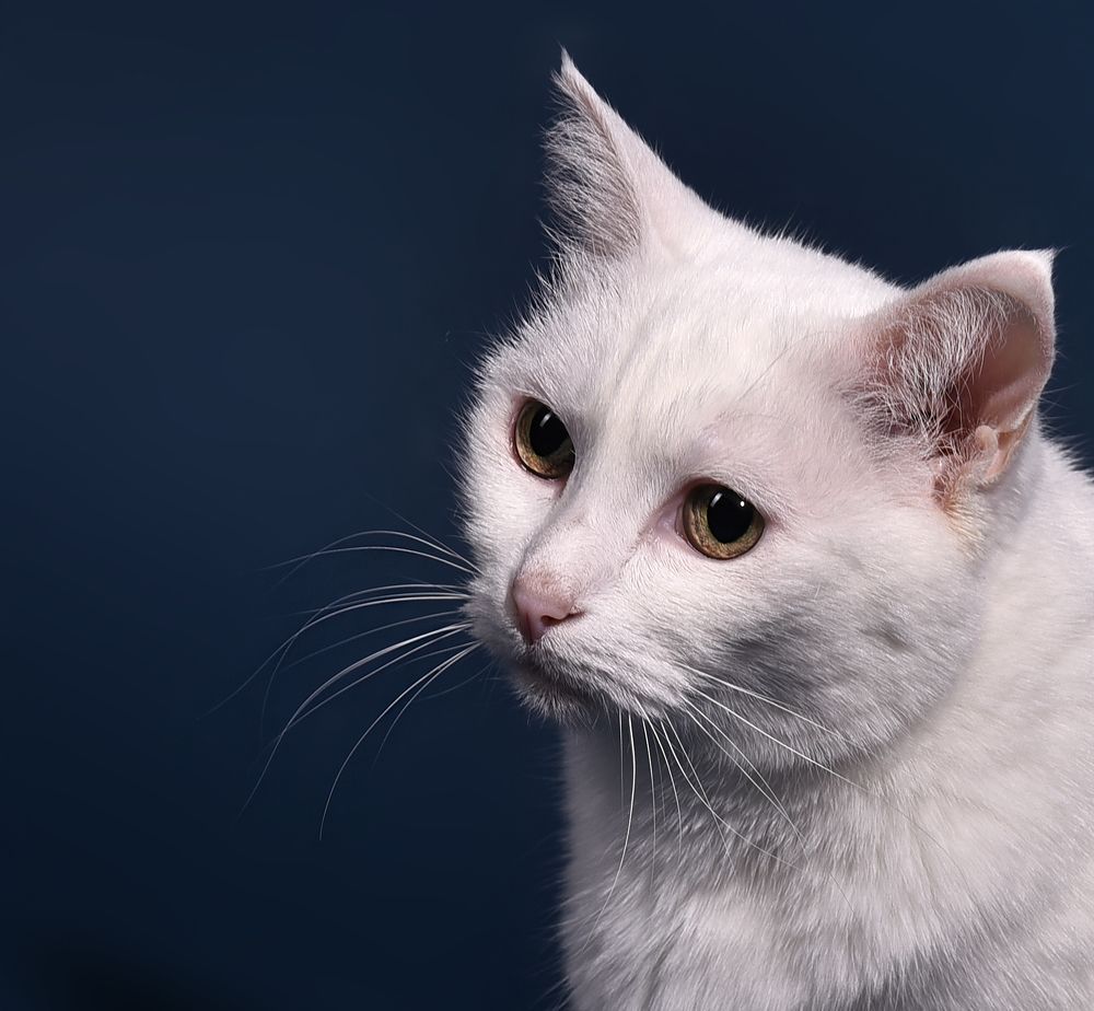 Photograph by наталья залогина